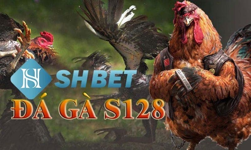 shbet casino